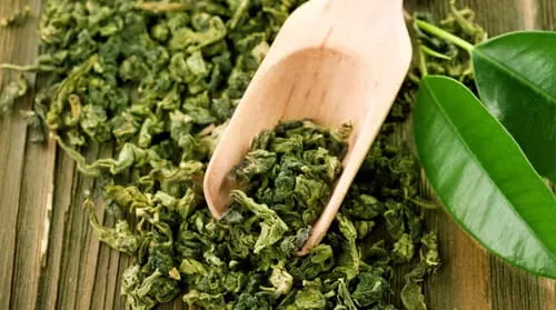 Green Tea ingredient in Gluco6